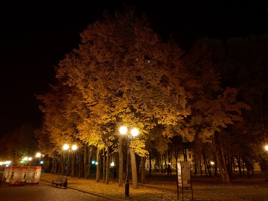 Осень в парке в Кремле